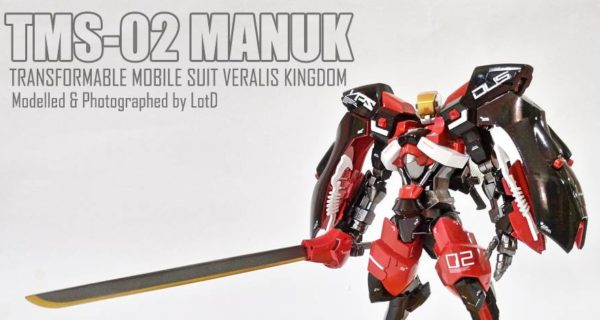 TMS-02 MANUK Custom by LotD